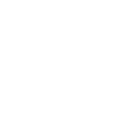 EST 1962 Icon