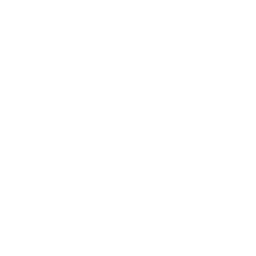 EST 1962 Icon